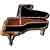 #529 Steinway Piano