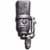 #593 Neumann TLM 170